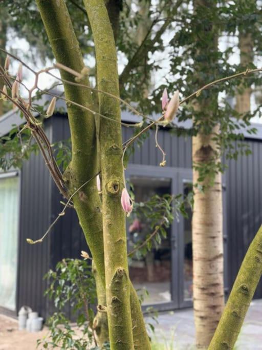 Veluwe Boutique Lodge 皮滕 外观 照片